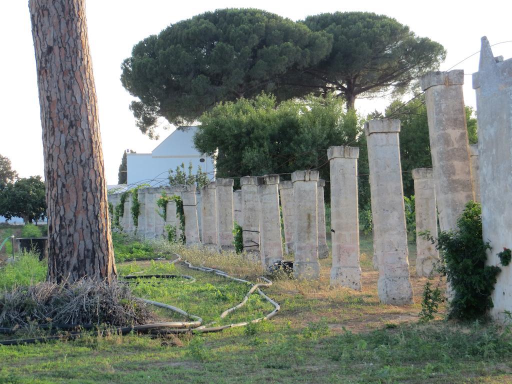 Agriturismo Occhineri Porto Cesareo Exterior foto