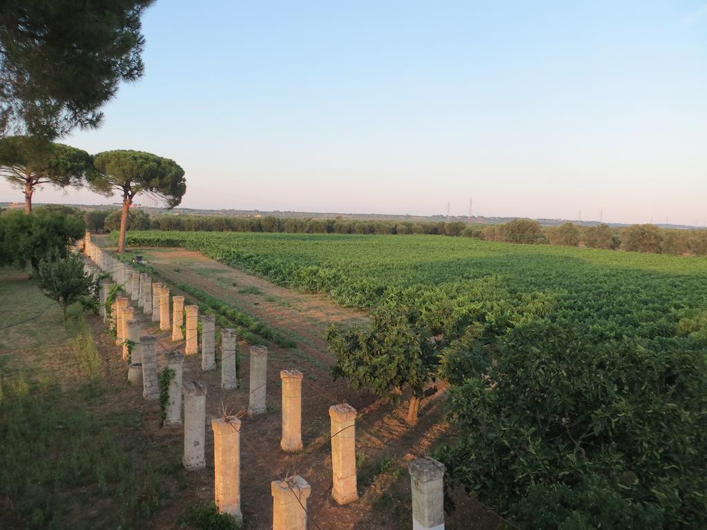Agriturismo Occhineri Porto Cesareo Exterior foto
